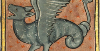 A Winged Dragon