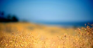 summer-sky-wallpapers_33758_2560x1600